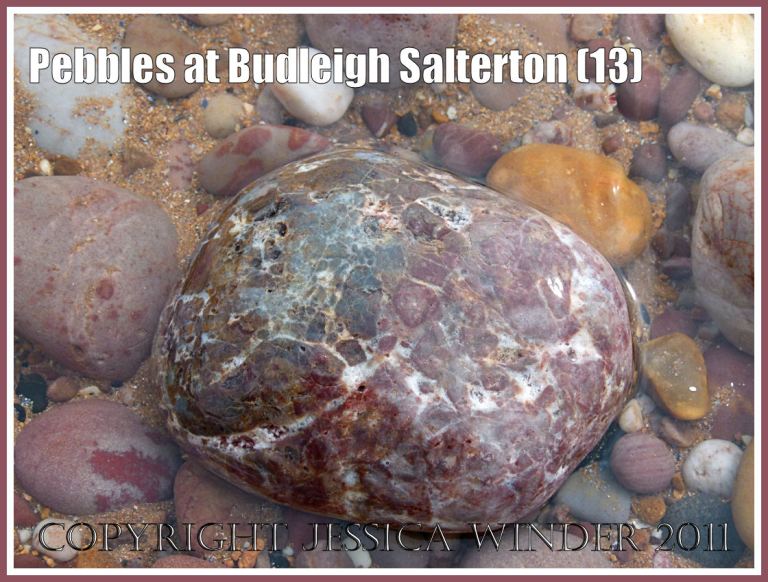 Patterned pebble on the beach: Pebbles on the beach at Budleigh Salterton, Devon, UK, on the Jurassic Coast World Heritage Site (13)