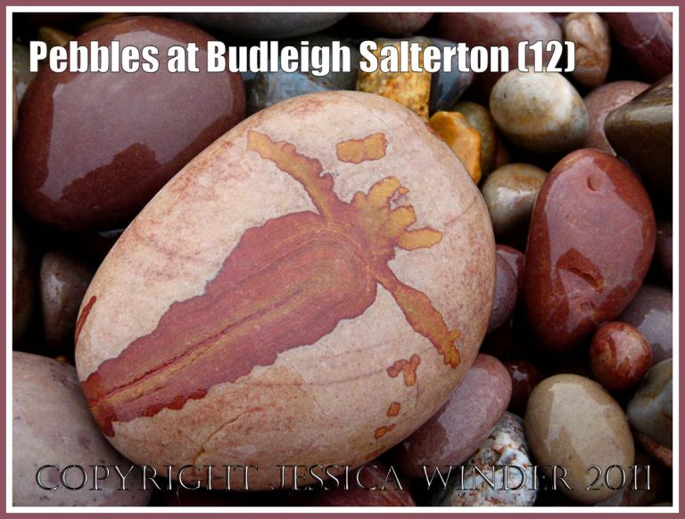 Quartzite pebble with red and yellow design on the beach at Budleigh Salterton, Devon, UK, on the Jurassic Coast World Heritage Site (12)
