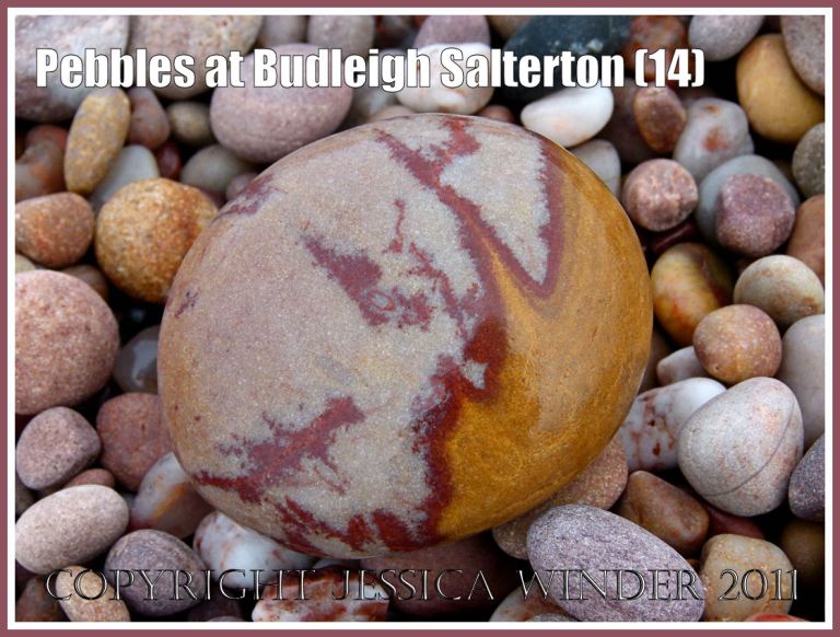 Patterned quartzite pebble on the beach: Quartzite pebble with red and yellow markings on the beach at Budleigh Salterton, Devon, UK, on the Jurassic Coast World Heritage Site (14)