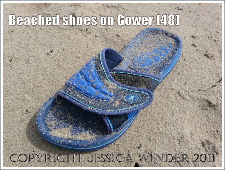 Shoe on the beach: Blue and black fabric left mule sandal on the sand at Rhossili Bay, Gower, West Glamorgan, UK (48)