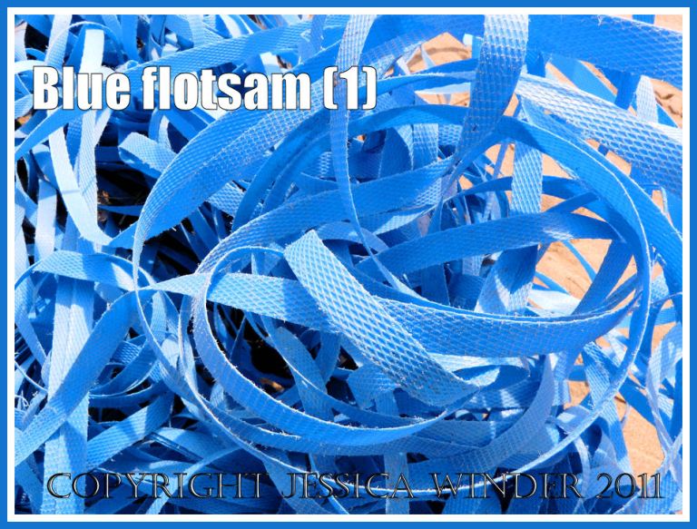 P1280539aBlog1 A mass of blue plastic binding washed ashore as flotsam on the beach at Rhossili Bay, Gower, South Wales, UK (1) Blue flotsam: A mass of blue plastic binding washed ashore as flotsam on the beach at Rhossili Bay, Gower, South Wales, UK (1)