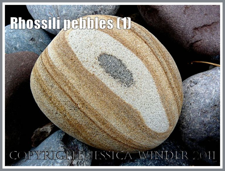 Rhossili pebbles: Pebble with a pattern on Rhossili Beach, Gower, South Wales, UK (1)