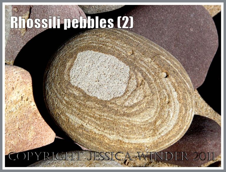 Patterned pebble: Pebble with a pattern on Rhossili Beach, Gower, South Wales, UK (2)