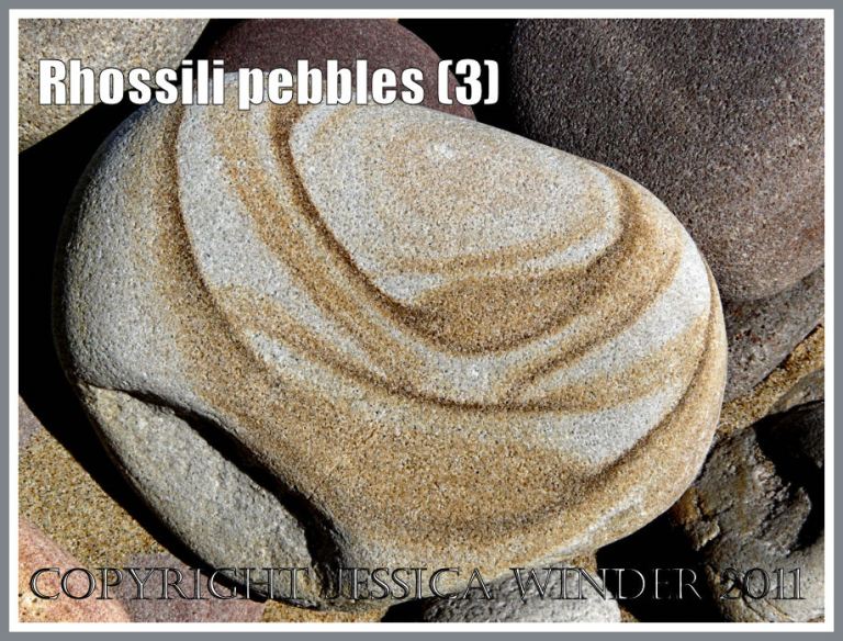Rhossili pebbles: Pebble with a pattern on Rhossili Beach, Gower, South Wales, UK (3)