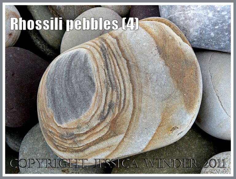 Patterns in nature: Pebble with a pattern on Rhossili Beach, Gower, South Wales, UK (4)