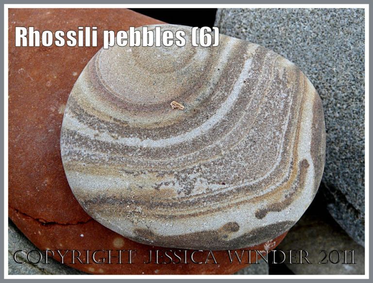 Rhossili pebbles: Pebble with a pattern on Rhossili Beach, Gower, South Wales, UK (6)