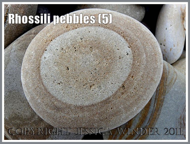 Rhossili pebbles: Pebble with a pattern on Rhossili Beach, Gower, South Wales, UK (5)