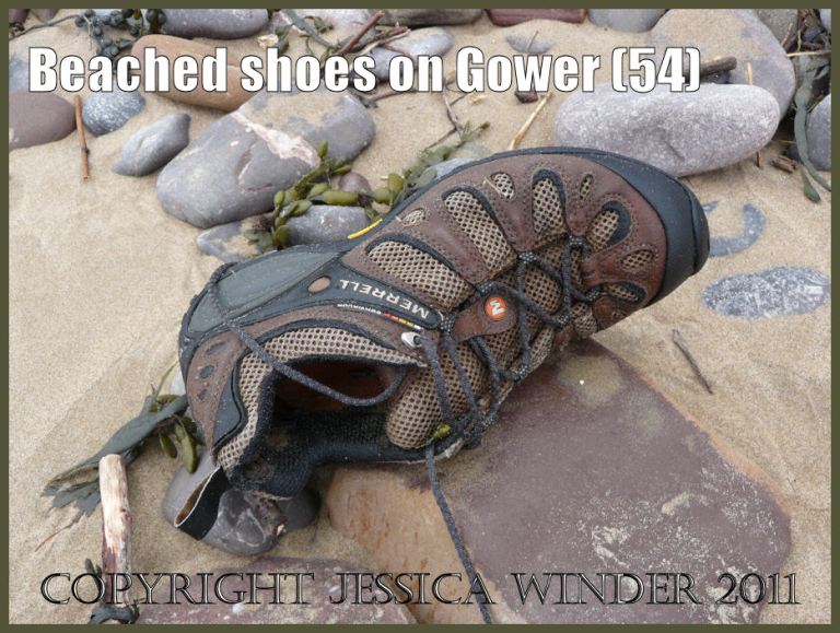 Flotsam shoe: Shoe found on the beach at Rhossili Bay, Gower, South Wales, UK (54)