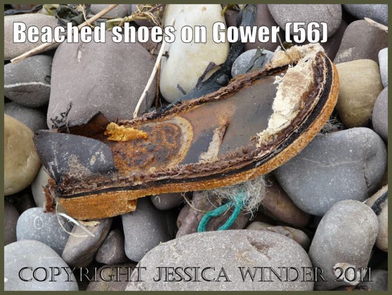 Flotsam shoe: Remains of a shoe found on the beach at Rhossili Bay, Gower, South Wales, UK (56)