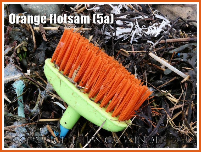 Orange flotsam: Close-up of a deck brush with green plastic base and orange-bristles washed ashore as flotsam onto the pebble beach strandline with seaweed (5a)