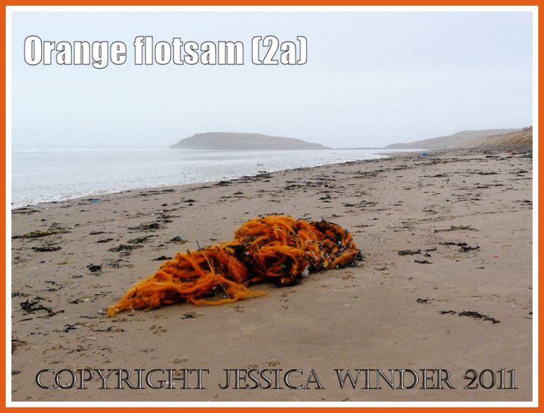 Orange flotsam; Orange mono-filament nylon fishing net washed ashore as flotsam on the sandy beach at Rhossili (2a)