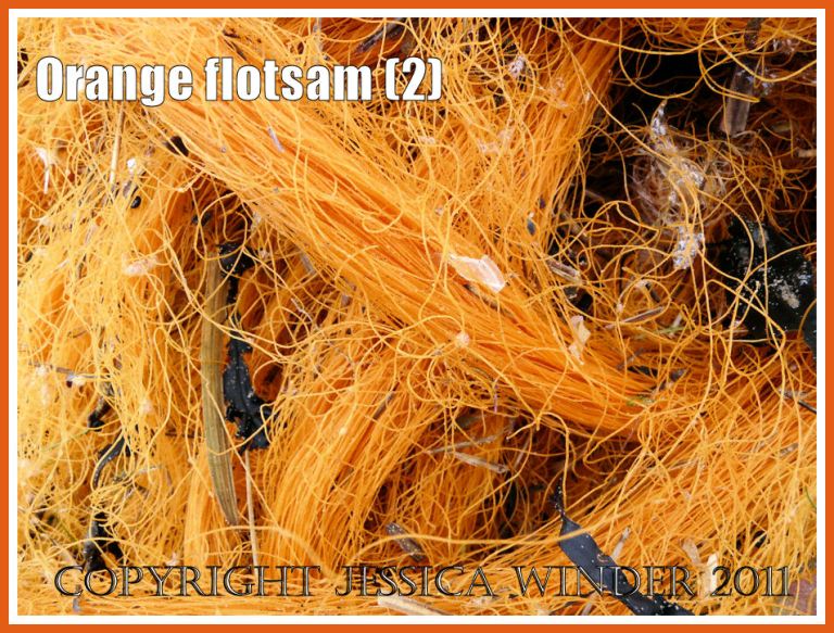 Gower flotsam: Detail of orange mono-filament nylon fishing net washed ashore as flotsam (2)