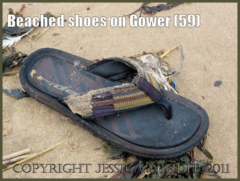 Flip-flop lost on the beach: Sandal shoe found on the beach at Rhossili Bay, Gower, South Wales, UK (59)