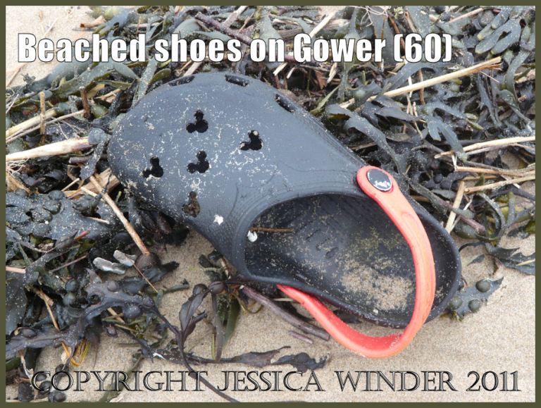 Lost shoe on the beach: Child's Croc shoe found on the beach at Rhossili Bay, Gower, South Wales, UK (60)