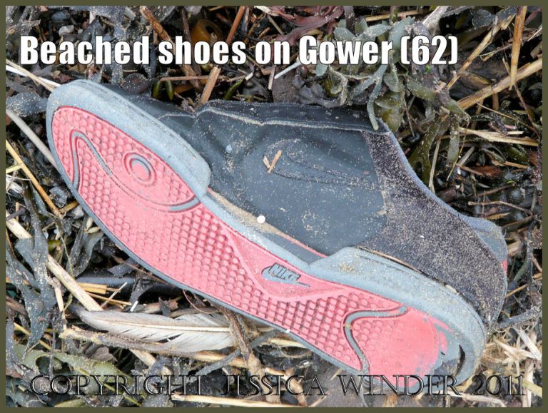 Flotsam shoe: Shoe found on the beach at Rhossili Bay, Gower, South Wales, UK (62)