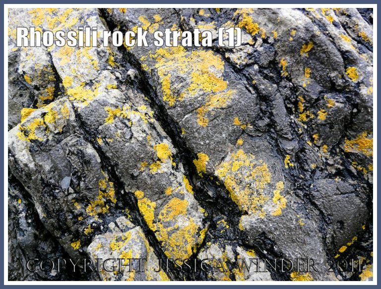 P1470435aBlog1 Carboniferous limestone rock strata, with crustose black and yellow lichens, in cliffs at Rhossili Bay, Gower, South Wales, UK (1) Rhossili rocks: Carboniferous limestone rock strata, with crustose black and yellow lichens, in cliffs at Rhossili Bay, Gower, South Wales, UK (1)