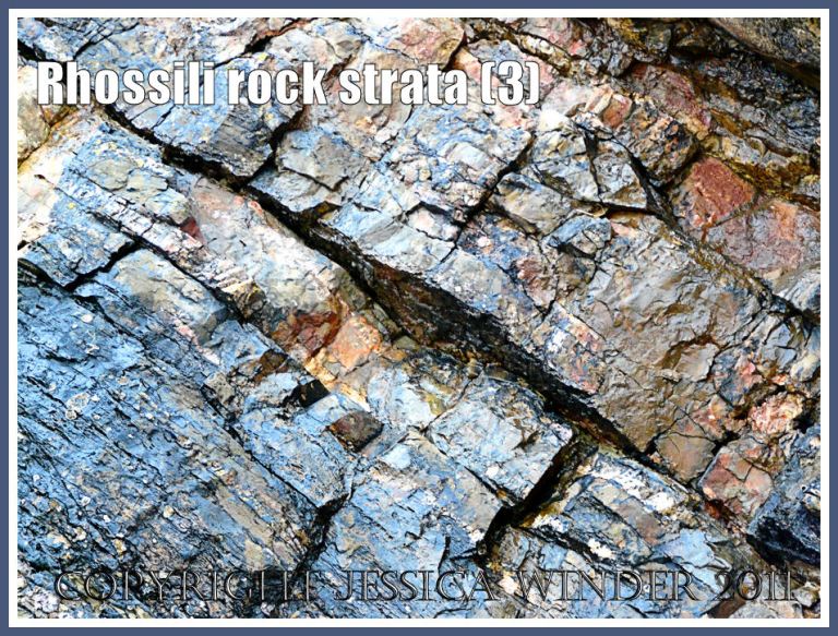 P1470608aBlog3 Carboniferous limestone rock strata in cliffs at Rhossili Bay, Gower, South Wales, UK (3) Gower rocks: Carboniferous limestone rock strata in cliffs at Rhossili Bay, Gower, South Wales, UK (3)