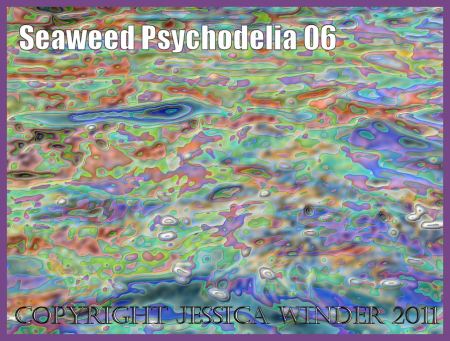Seaweed abstract image: Psychodelic colours and patterns in an abstract image digitally conjured up from a photograph of seaweed floating in gently undulating waves (6)