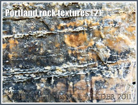 Jurassic Coast rock textures: Texture of exposed rock strata, smooth with a crystalline coating precipitated from dissolved minerals seeping out of the bedding planes, on the Isle of Portland, Dorset, UK, part of the Jurassic Coast World Heritage Site (2)