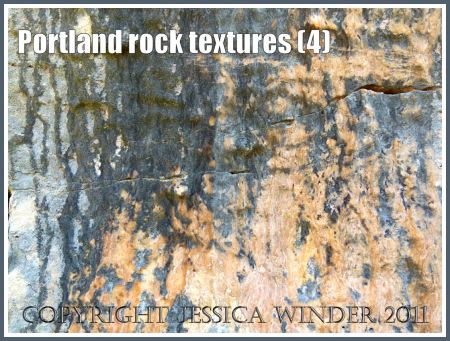 Portland rock textures: Smooth, marbled rock texture from the Isle of Portland, Dorset, UK, on the Jurassic Coast World Heritage Site (4).