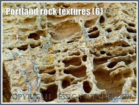Rock textures on the Jurassic Coast: Honey-comb rock texture, perhaps caused by uneven weathering, from the Isle of Portland, Dorset, UK, on the Jurassic Coast World Heritage Site (6)