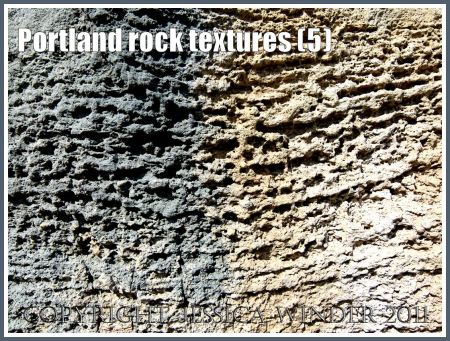 Jurassic Coast rock textures: Rough rock texture (looking like two-toned knitting with purl stitches) on the Isle of Portland, Dorset, UK, part of the Jurassic Coast World Heritage Site (5)