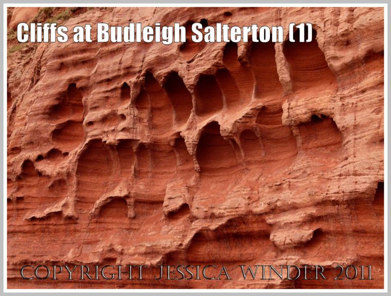 Red rock texture: Red Triassic sandstone showing honeycomb weathering in the cliff at Budleigh Salterton, Devon, U.K. on the Jurassic Coast World Heritage Site (1)