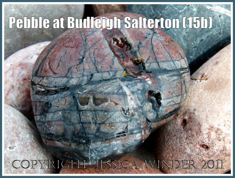 Pebble on the beach at Budleigh Salterton, Devon, UK on the Jurassic Coast World Heritage Site (15b) Pebble on the beach at Budleigh Salterton, Devon, UK on the Jurassic Coast World Heritage Site (15b)