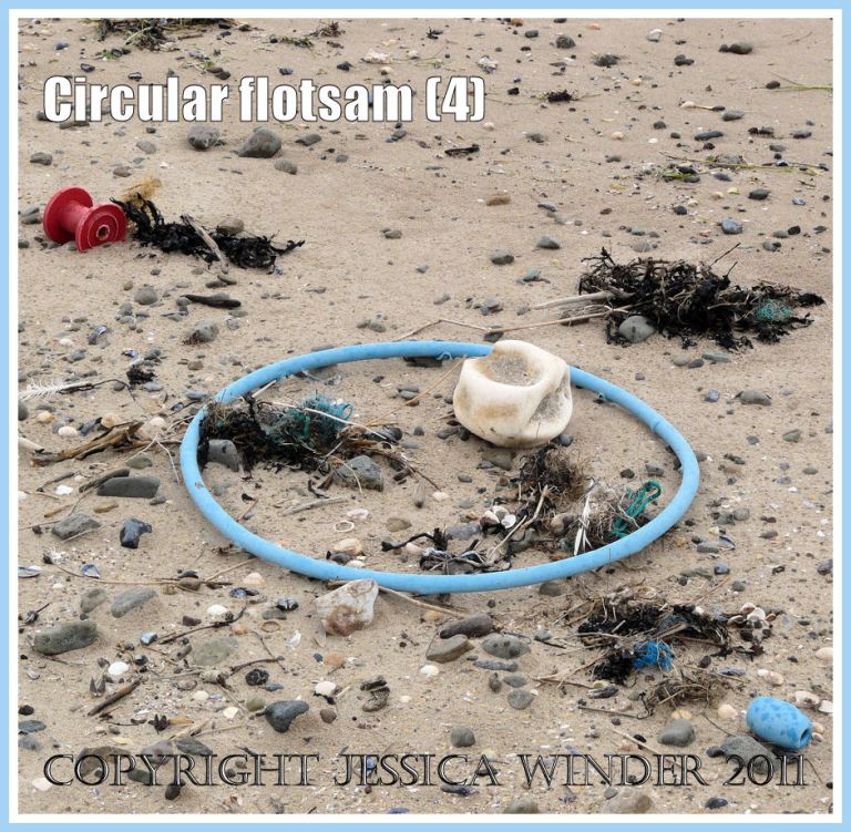 Plastic flotsam; Blue plastic hula hoop toy on the strandline at Whiteford Sands, Gower, West Glamorgan (4)