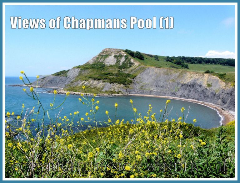 View of Chapmans Pool, Dorset, UK - part of the Jurassic Coast World Heritage Site (1).