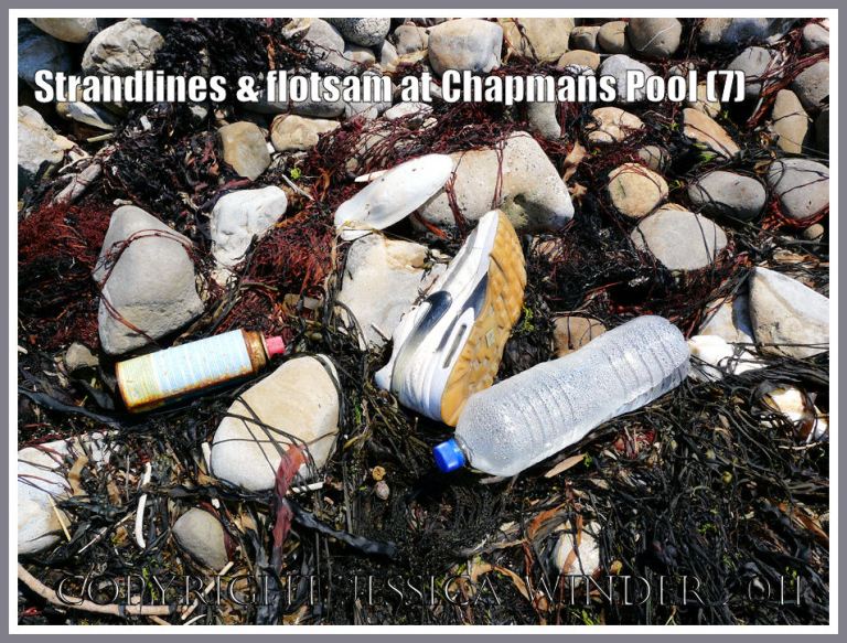 P1100242Blog7 Flotsam on the boulder beach strandline at Chapmans Pool, Dorset, UK - part of the Jurassic Coast (7) Flotsam at Chapmans Pool: Flotsam on the boulder beach strandline at Chapmans Pool, Dorset, UK - part of the Jurassic Coast (7)