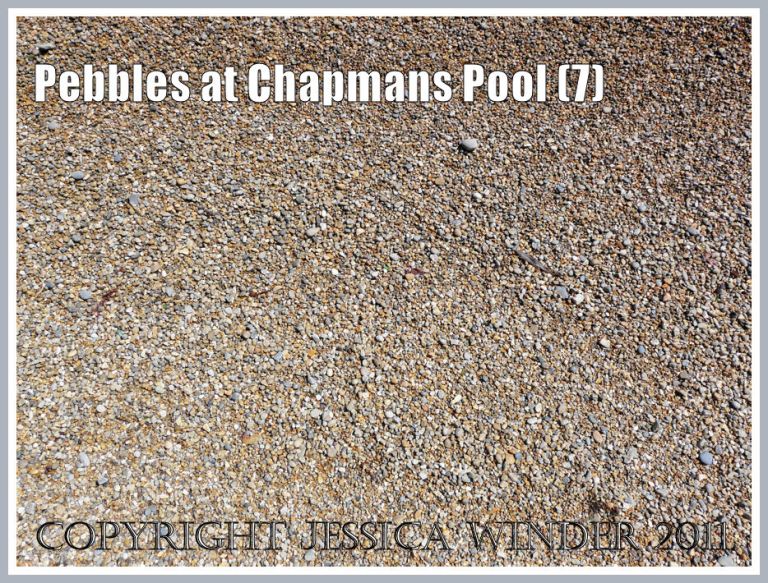 Very fine shingle (without measuring pole) from the northwest shore of Chapmans Pool, Dorset, UK - part of Jurassic Coast (7)