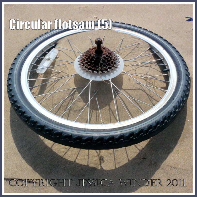 Circular flotsam: Bicycle wheel with black tyre, metal spokes and gear wheel on the sand, Whiteford, Gower, West Glamorgan (5)