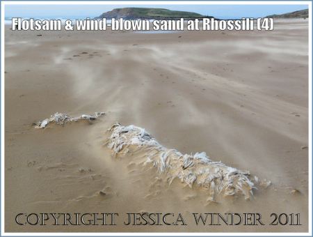 Flotsam on Rhossili Beach: Flotsam polythene sheeting washed ashore and covered with wind-blown sand at Rhossili Bay, Gower, South Wales, UK (4)