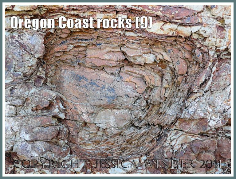 Rocks of the Oregon Coast: Rock pattern and texture caused by spheroidal weathering in cliffs at Smelt Sands State Park on the Oregon Coast in the U.S.A. as seen from Trail 804 (9)