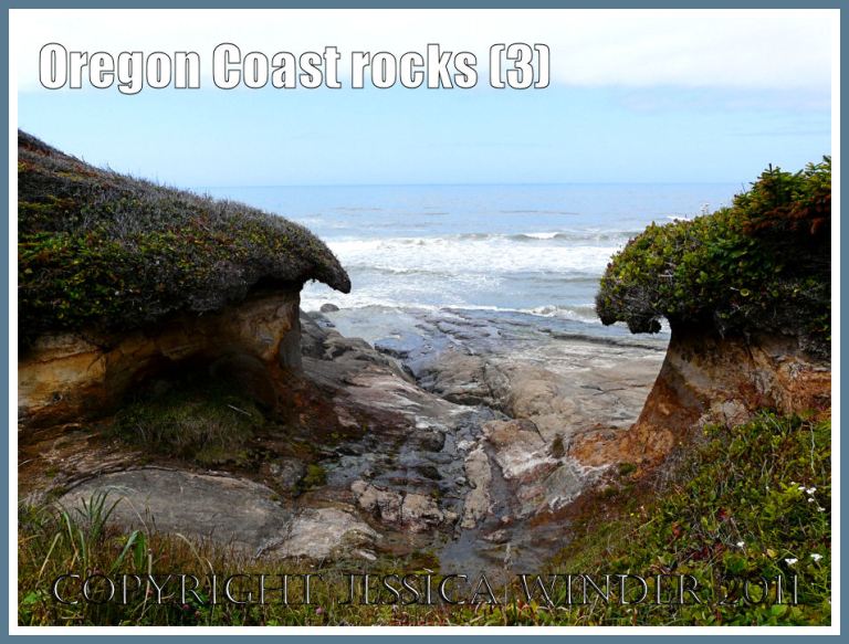The top of the beach near Yachats on the Oregon Coast in the U.S.A. showing eroding soft sedimentary rock beneath the shore-side vegetation, and above the hard smooth bedrock of the beach (3a)