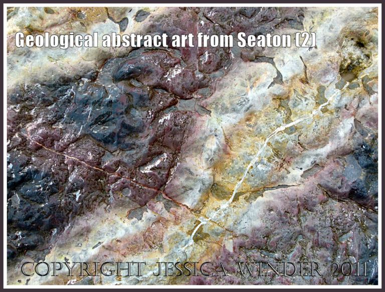 Rock pattern, texture and colour: Natural abstract design on a beach boulder at Seaton, Devon, U.K. on the Jurassic Coast (2)