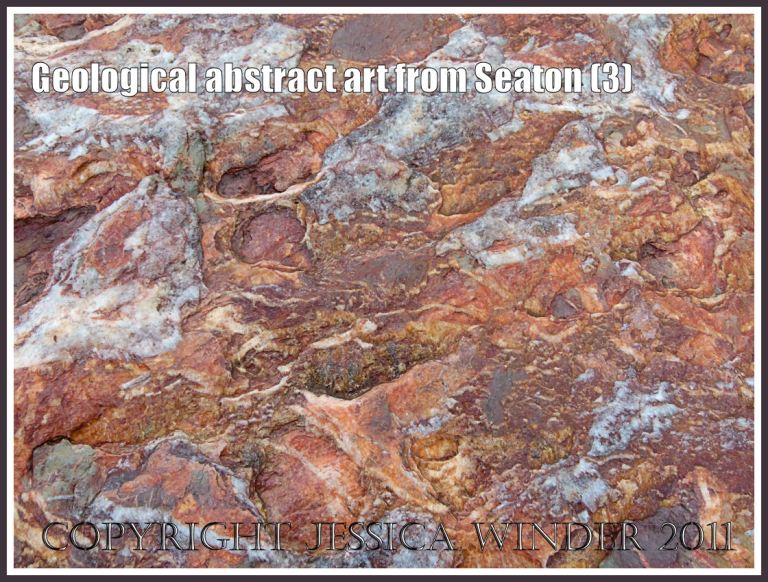 Natural designs on rocks: Natural abstract design on a beach boulder at Seaton, Devon, U.K. on the Jurassic Coast (3)