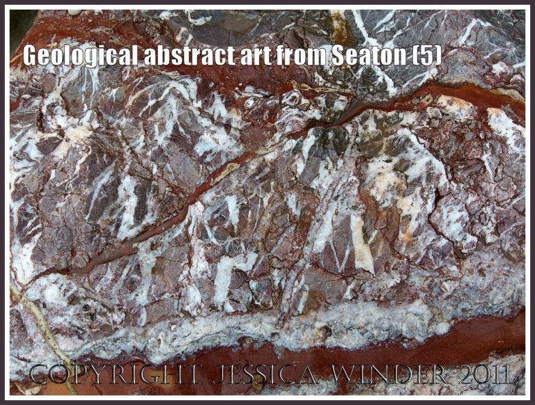 Beach boulder patterns: Natural abstract design on a beach boulder at Seaton, Devon, U.K. on the Jurassic Coast (5)