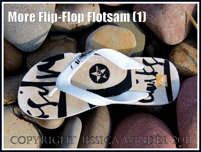 Black and white flotsam flip flop:Flotsam flip flop sandal washed ashore onto pebbles at Rhossili Bay, Gower, South Wales, U.K. (1)