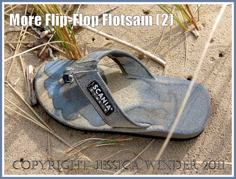 Faded blue flotsam flip flop: Flotsam flip flop sandal washed ashore onto sand at Rhossili Bay, Gower, South Wales, U.K. (2)