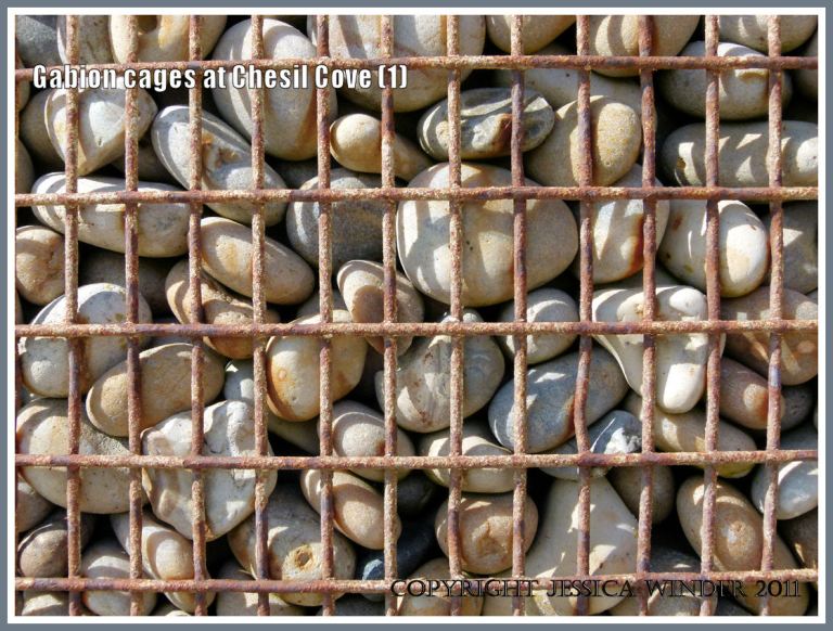 Pebbles in metal gabion cage: Close-up of pebble-filled metal gabion cage used for sea defence at Chesil Cove, Isle of Portland, Dorset, U.K. on the Jurassic Coast (1)
