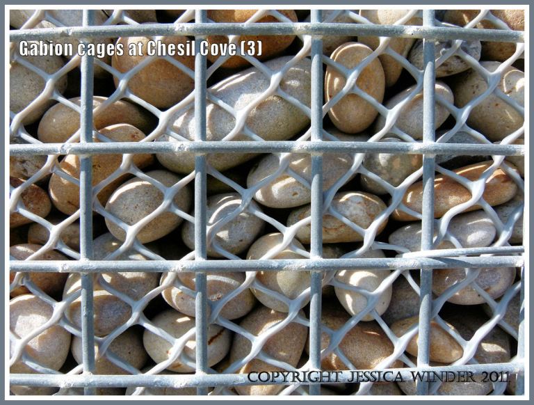 Metal and plastic mesh on a gabion: Close-up of pebble-filled metal and plastic meshed gabion cage used for sea defence at Chesil Cove, Isle of Portland, Dorset, U.K. on the Jurassic Coast (3)
