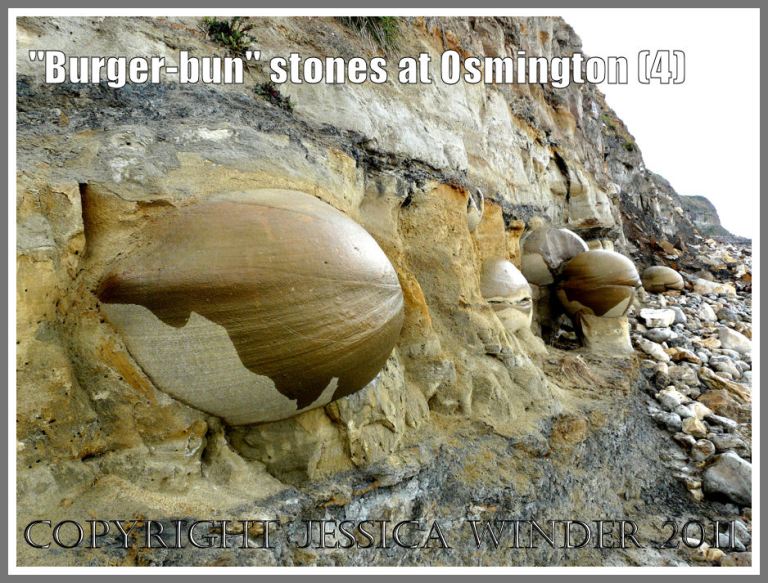Boulders in the cliff at Osmington: Bencliff Grit nodules embedded in Upper Jurassic Corallian Formation Beds in the base of the cliff at Osmington Bay, Dorset, UK on the Jurassic Coast (4)