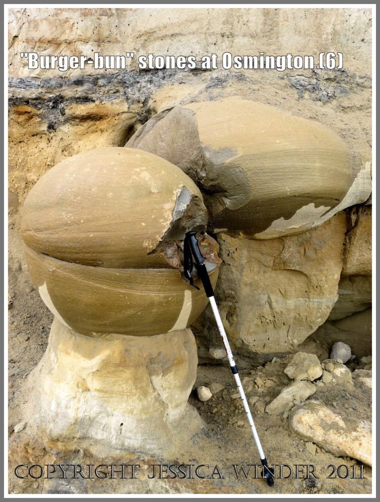 Jurassic Coast rocks: Bencliff Grit nodules at base of the cliff in Osmington Bay, Dorset, UK - part of the Jurassic Coast (6)