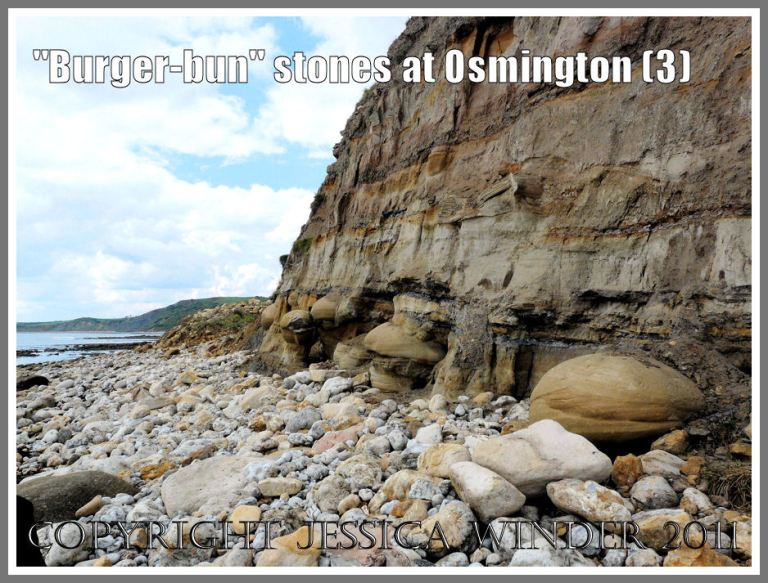 View looking west showing Bencliff Grit nodules in the base of the cliff at Osmington Bay, Dorset, UK, part of the Jurassic Coast (3)