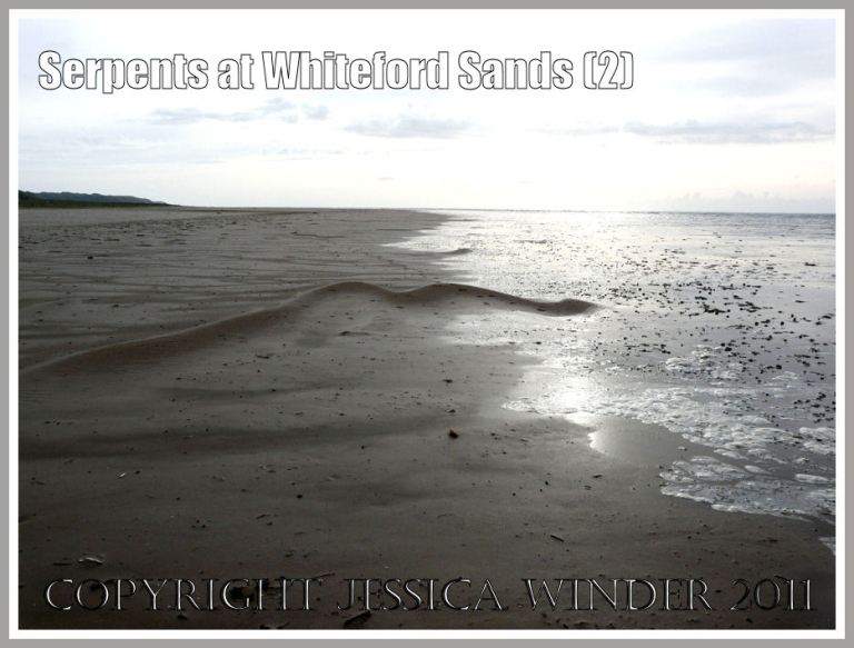 Sand ripple pattern on the beach: 'Serpent' at Whiteford Sands, Gower, South Wales, U.K. August 2009 (2)