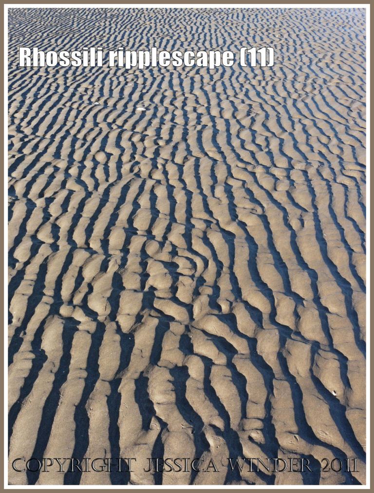 Sand ripple pattern and texture: Sand ripple pattern from Rhossili beach, Gower, West Glamorgan, 01.01.2010 (11)