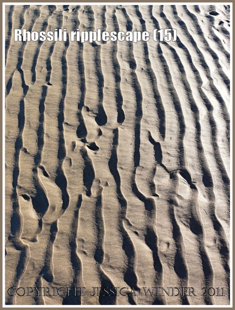 Sand sulcation pattern on the beach:Sand ripple pattern on the beach at Rhossili, Gower, West Glamorgan, New Year's Day 2010 (15)