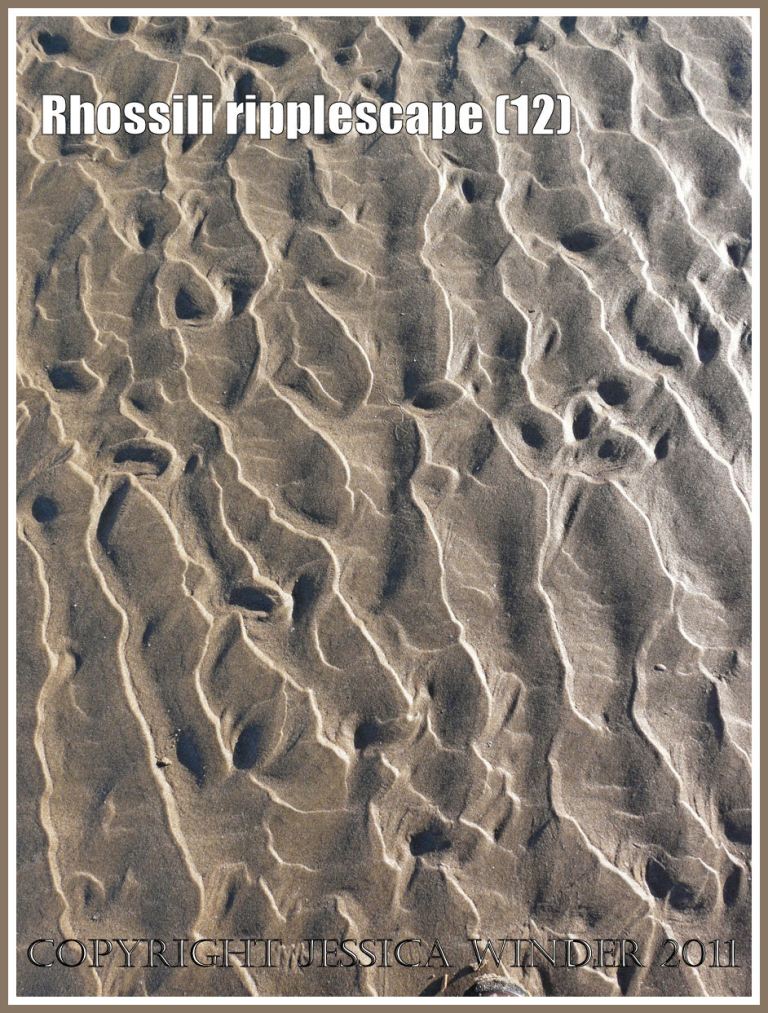 Abstract sand ripple pattern: Sand ripple pattern from Rhossili beach, Gower, West Glamorgan, 01.01.2010 (12)